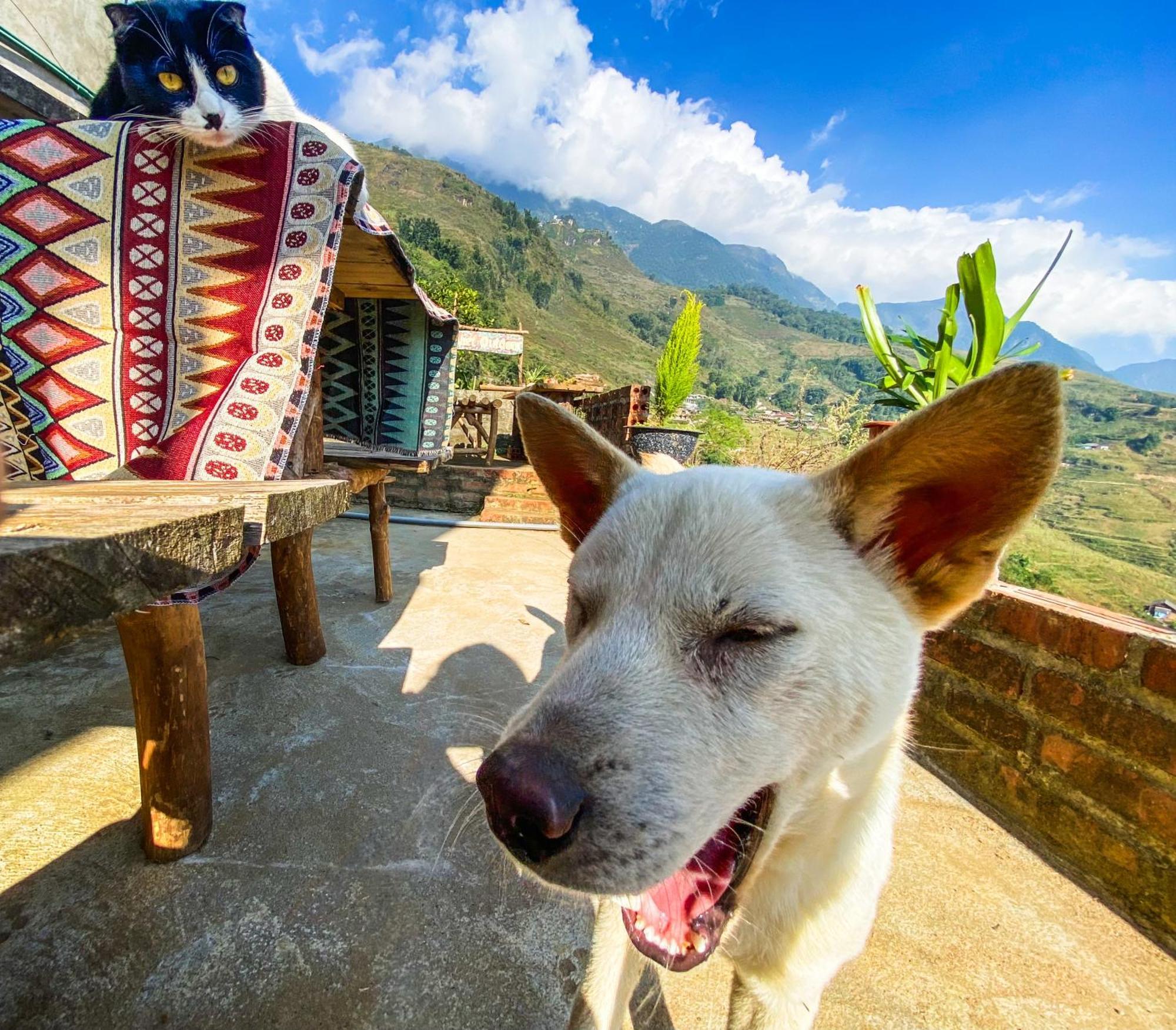 Pham'S House - Homestay & Cafe Sapa Exterior foto