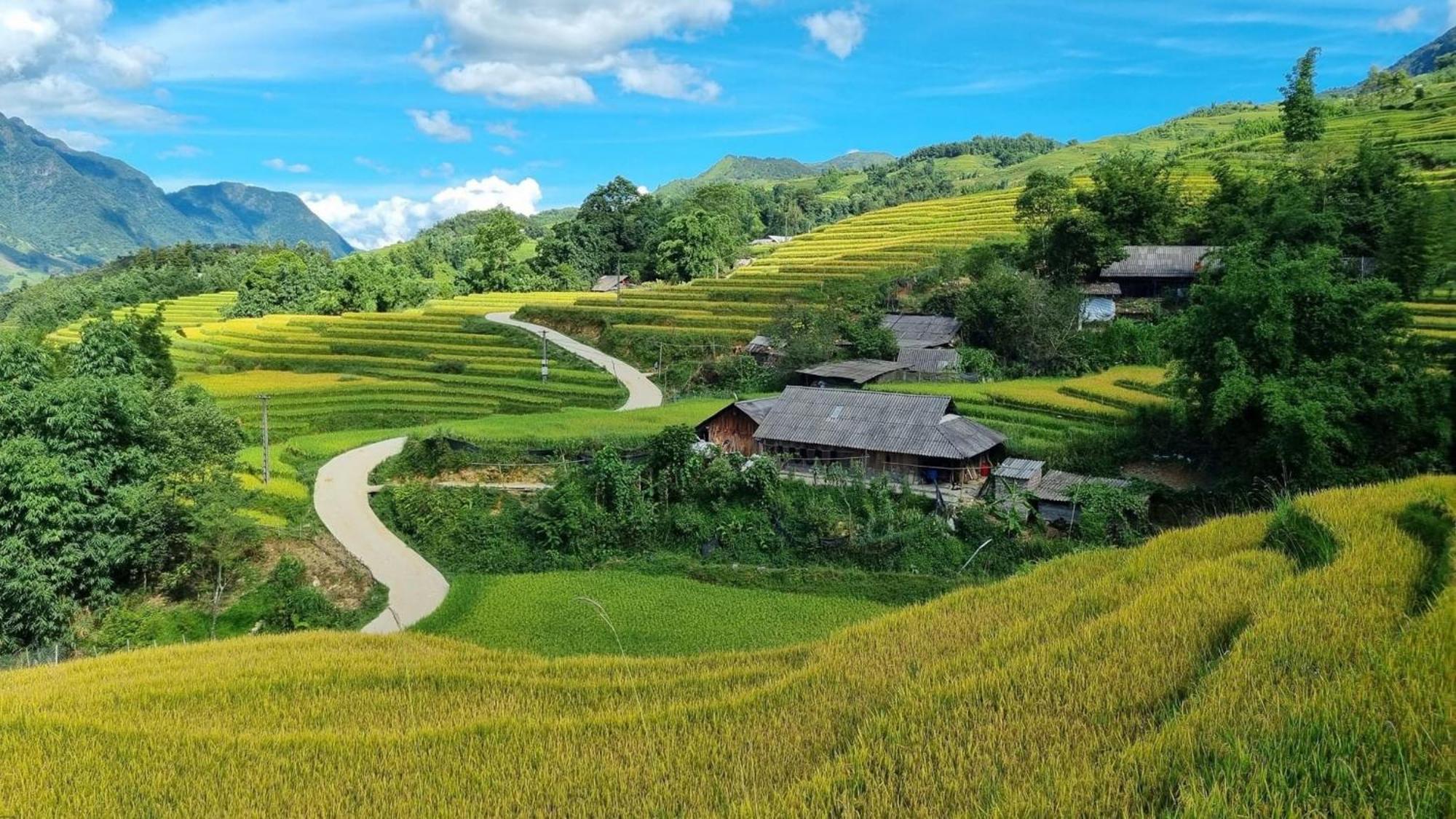 Pham'S House - Homestay & Cafe Sapa Exterior foto